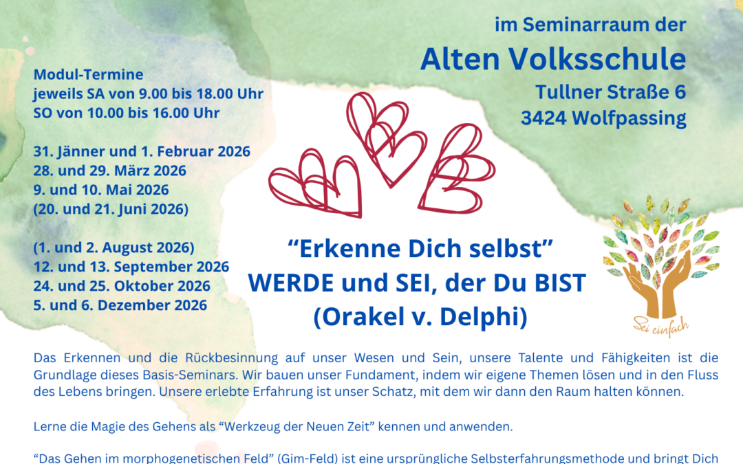 Gim-Feld-Ausbildung 2026